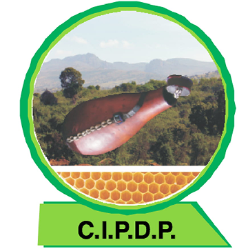 C.I.P.D.P.